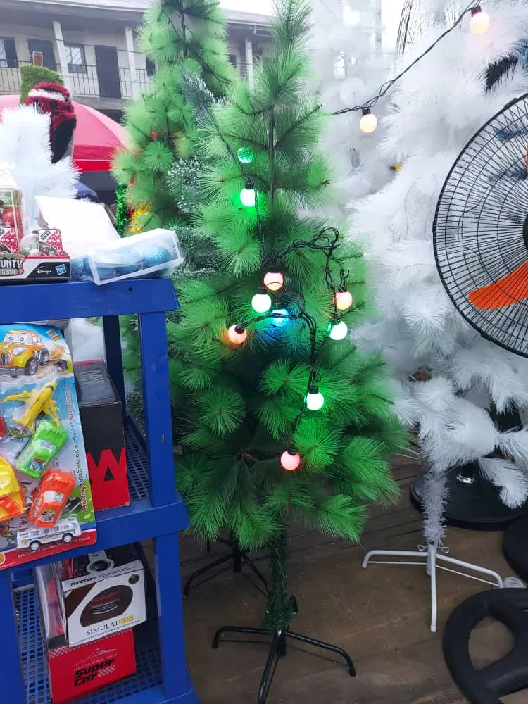 Gallery Photo 2 - Marketplace | 🎄✨ Christmas Trees For Sale! ✨🎄, Clerks Quarters, Buea, Cameroon | General & Others 