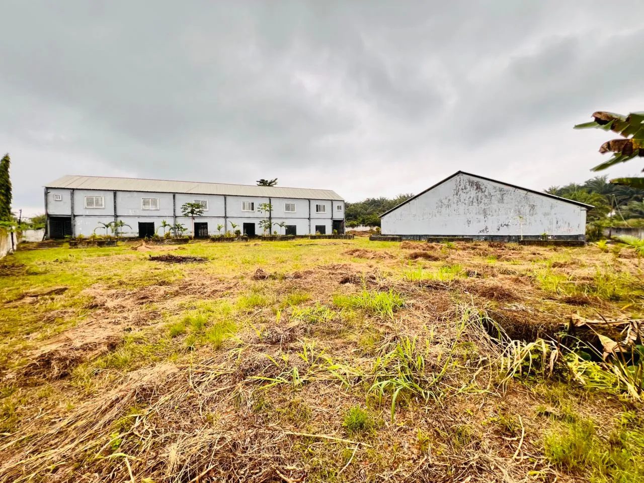 Main Photo - Real Estate | House For Sale | Church Building With Extra Land For Sale In Douala, PK7, Douala, Cameroon