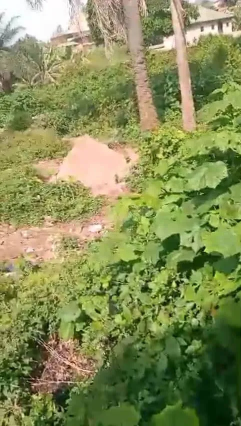 Main Photo - Real Estate | Land For Sale | Land For Sale In Bamenda (Terrain À Vendre À Bamenda), Old Town, Bamenda, Cameroon