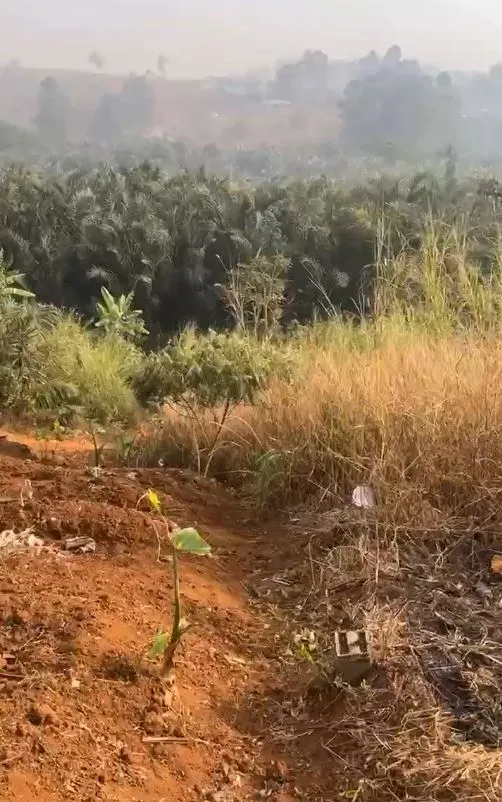 Main Photo - Real Estate | House For Sale | Golden Investment Opportunity: Prime Titled Land At Mile 4, Bamenda, Mile 4, Bamenda, Bamenda, Cameroon