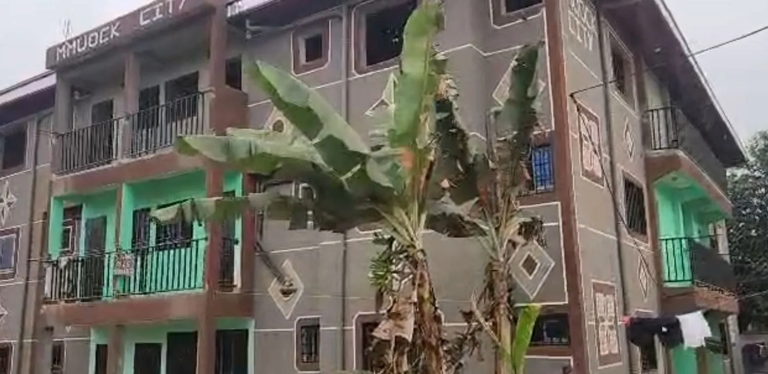 Main Photo - Real Estate | House For Rent | Studio Apartments For Rent – Buea 🏡, Mayor Streets, Buea, Cameroon