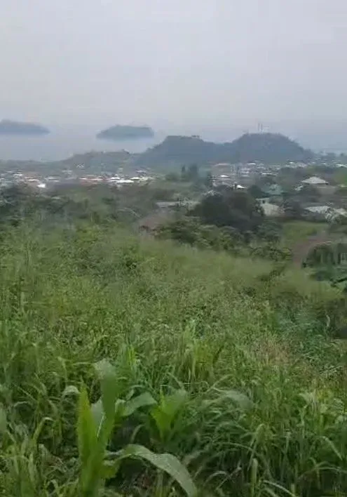 Main Photo - Real Estate | Land For Sale | Land For Sale – Mokunda Layout, Limbe 🌊📍, Mokundange, Limbé, Cameroon