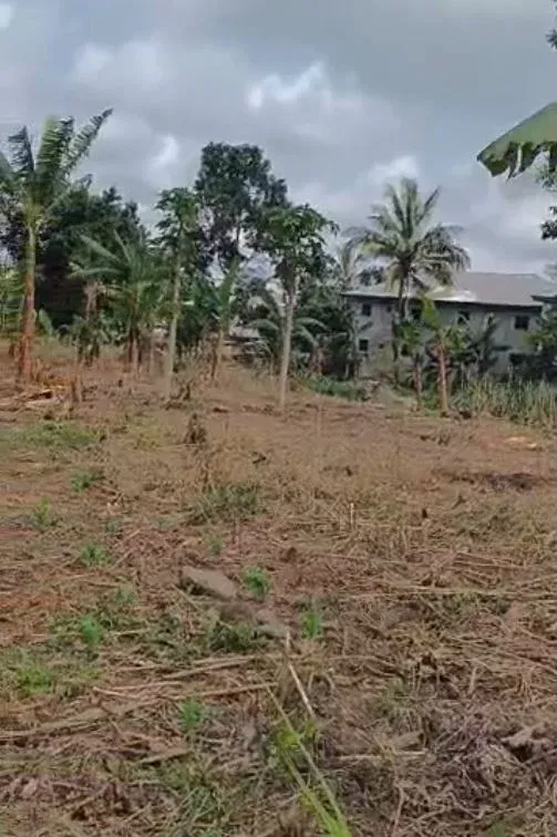 Main Photo - Real Estate | Land For Sale | Land For Sale – Sandpit, Buea 📍, Sandpit, Buea, Cameroon