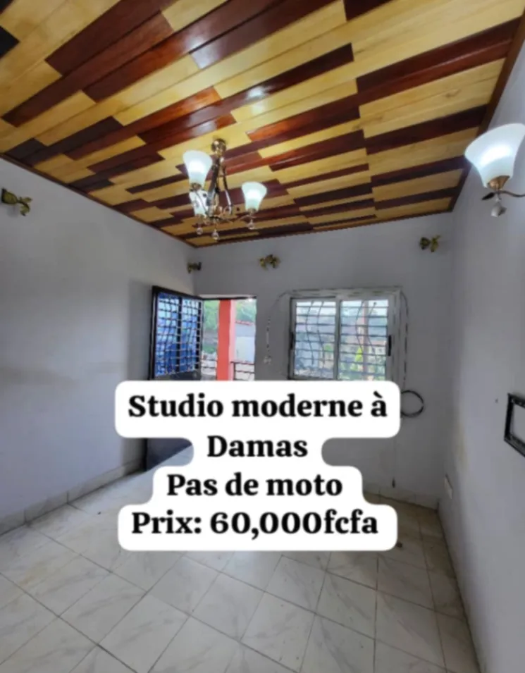 Main Photo - Real Estate | House For Rent | Studio, Damas, Yaoundé, Cameroon