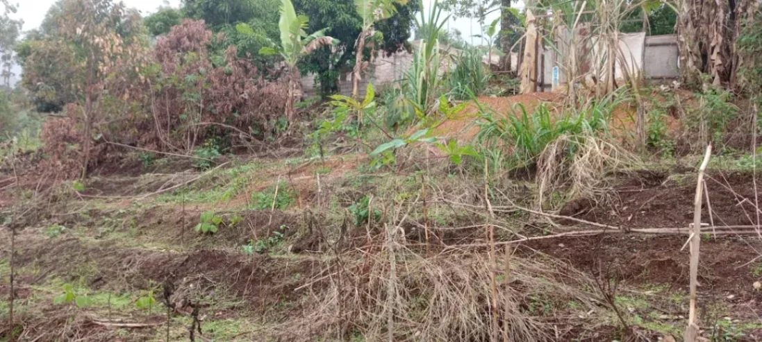 Main Photo - Real Estate | Land For Sale | Golden Opportunity – Land For Sale In Bamenda, Up station, Bamenda, Cameroon