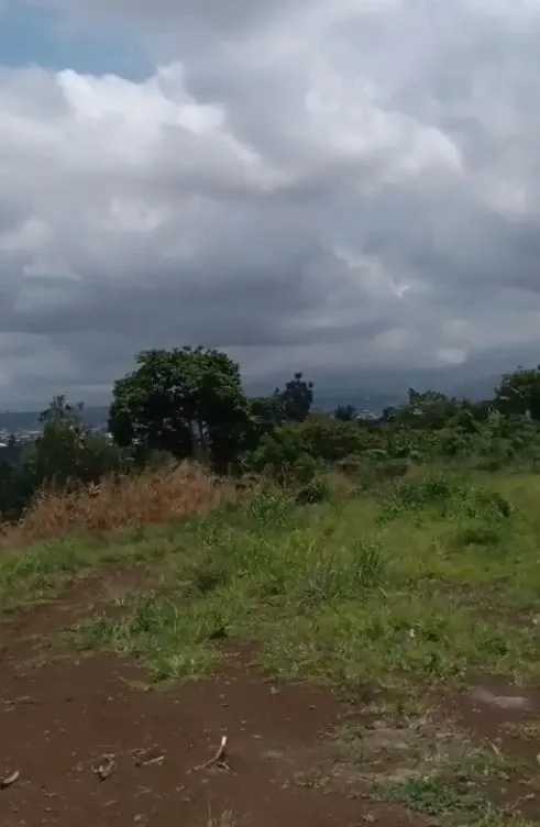 Main Photo - Real Estate | House For Sale | Land For Sale – Lower Muea, Buea 🚨, Muea, Buea, Cameroon
