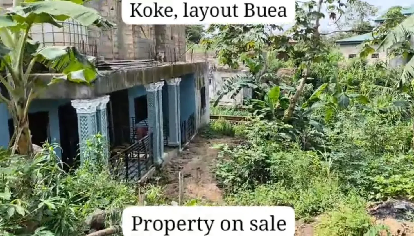 Main Photo - Real Estate | House For Sale | An Incomplete Commercial House On Sale In Buea, Koke, Buea, Cameroon