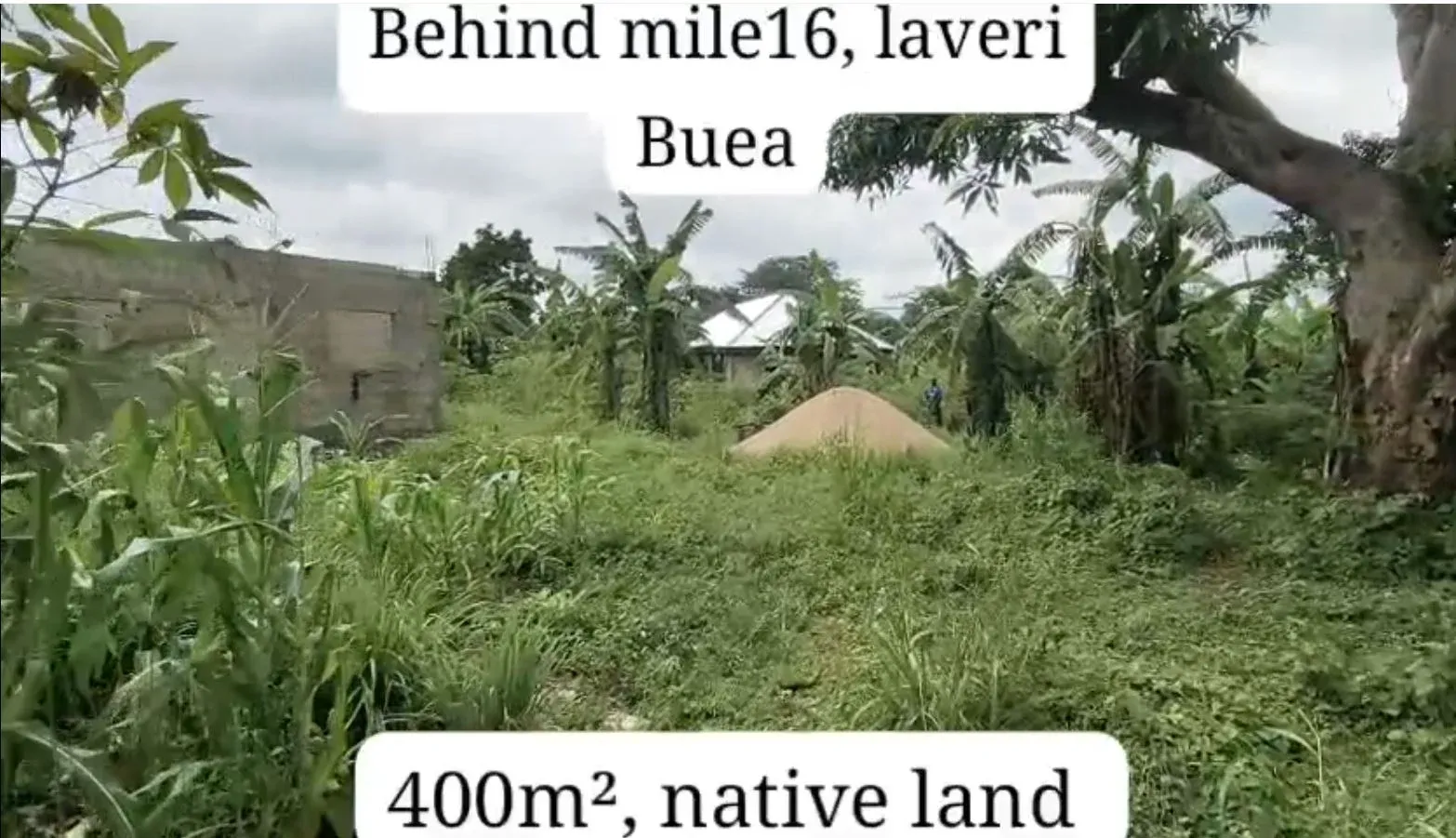 Main Photo - Real Estate | Land For Sale | New Listings Situate At Mile 16 Behind Bocom Filling Station Buea - Cameroon, Bolifamba (Mile 16), Buea, Cameroon