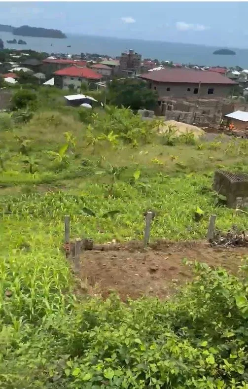 Main Photo - Real Estate | Land For Sale | New Listing – Land For Sale Around Limbe Omnisport Stadium 🏡, Around Omnisport Stadium, Limbé, Cameroon