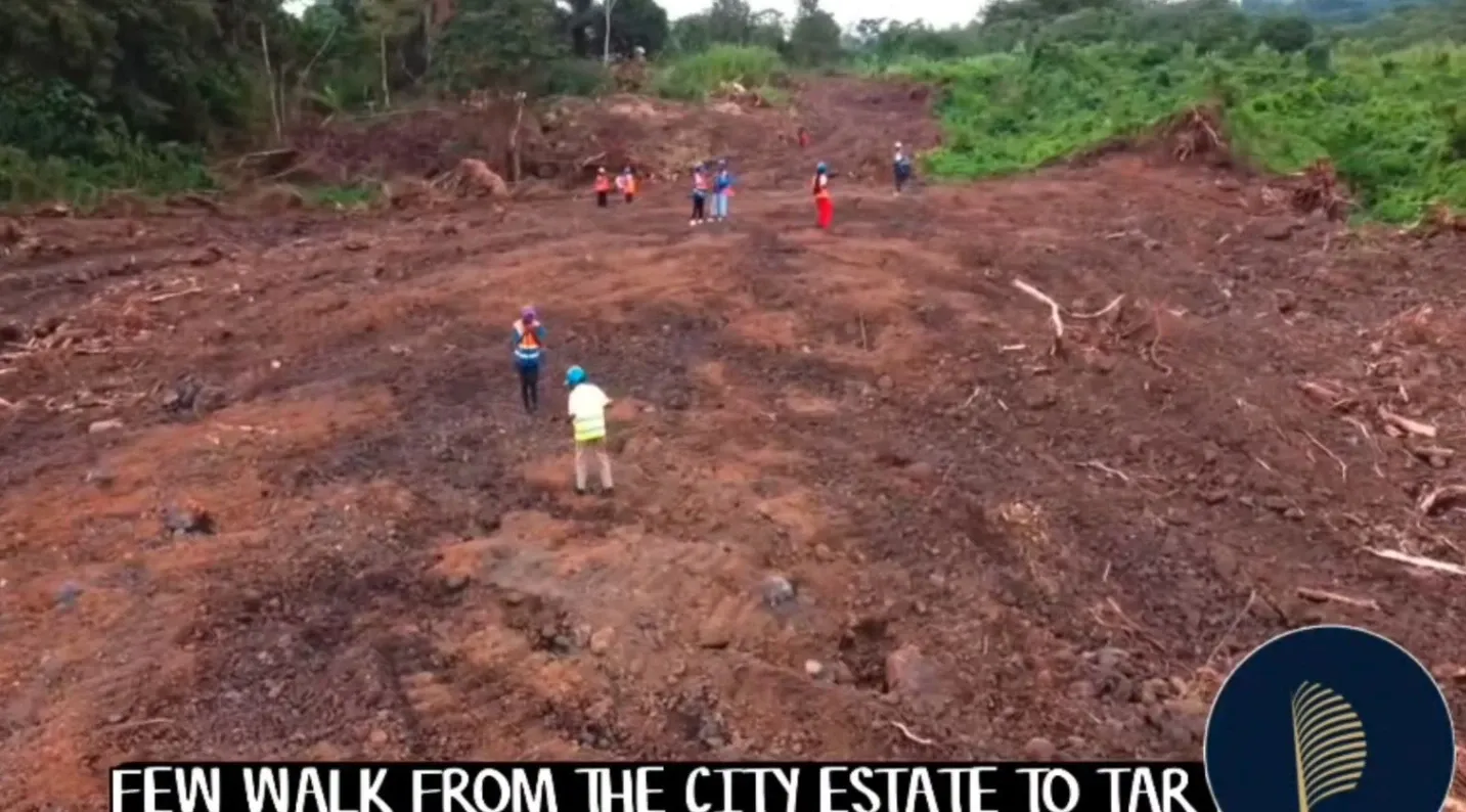Main Photo - Real Estate | Land For Sale | New Land Listing – Bova / Bonakanda, Buea Town 🔥🏡, Bonakanda, Buea Town, Buea, Cameroon