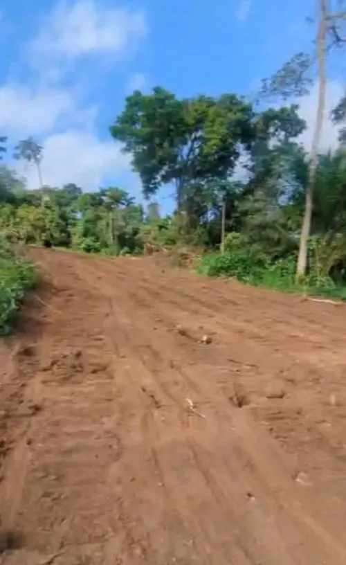 Main Photo - Real Estate | Land For Sale | Land For Sale At Wonyamavio 🔥🏡, WONYAMAVIO, Buea, Cameroon