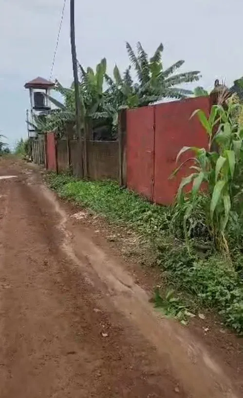 Main Photo - Real Estate | House For Sale | Prime Property Alert — Distress Sale! 🏡🔥, Migis Bar, Buea, Buea, Cameroon