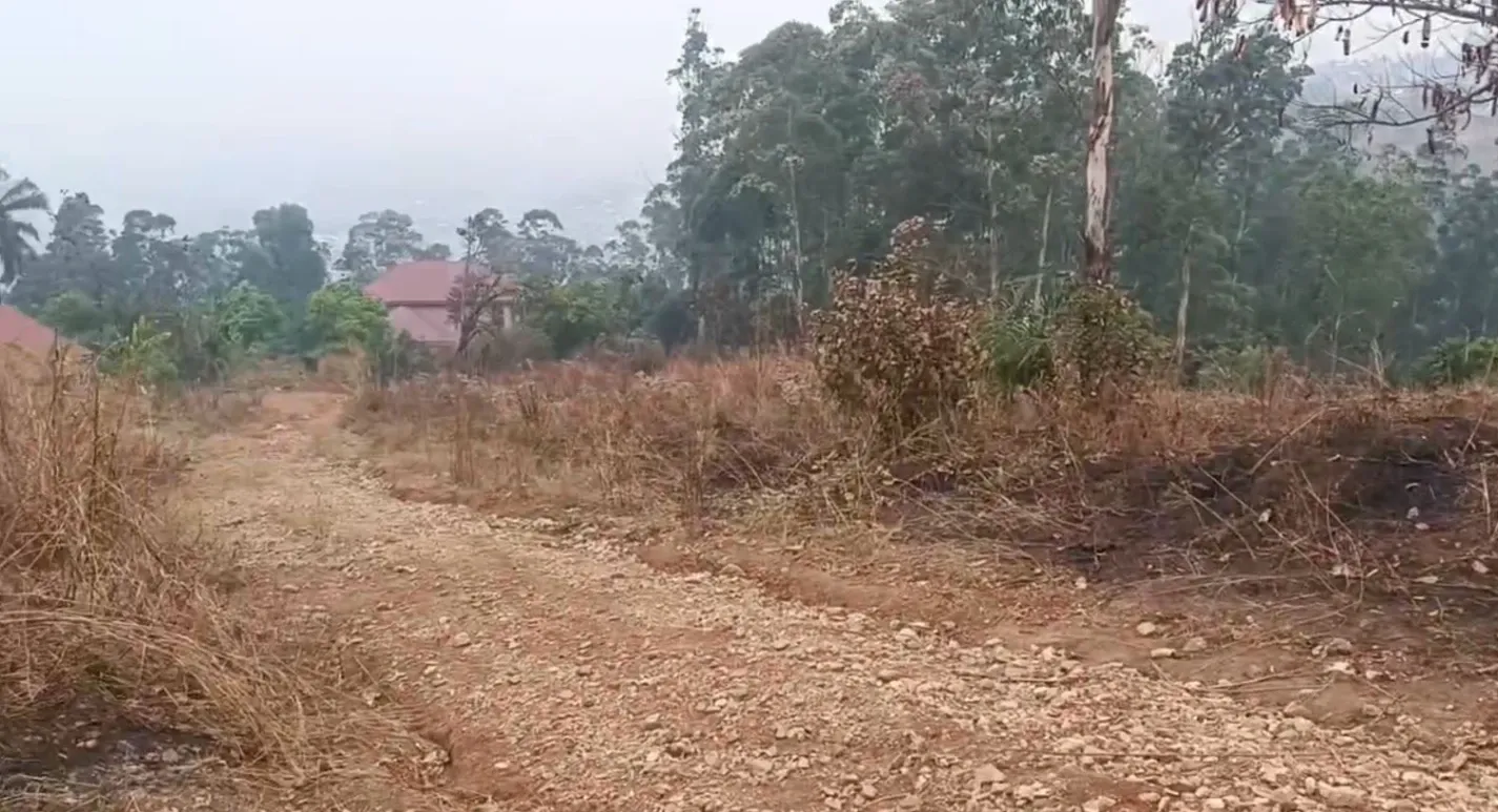 Main Photo - Real Estate | House For Sale | Special Offer – Won't Last Long!, Up station, Bamenda, Cameroon