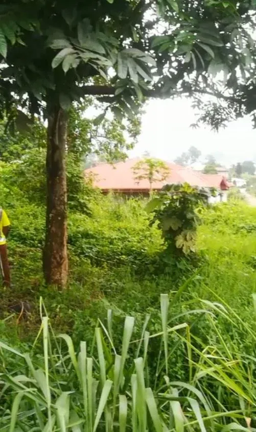 Main Photo - Real Estate | Land For Sale | Call For Smart Investors!, Bakweri Town, Buea, Cameroon