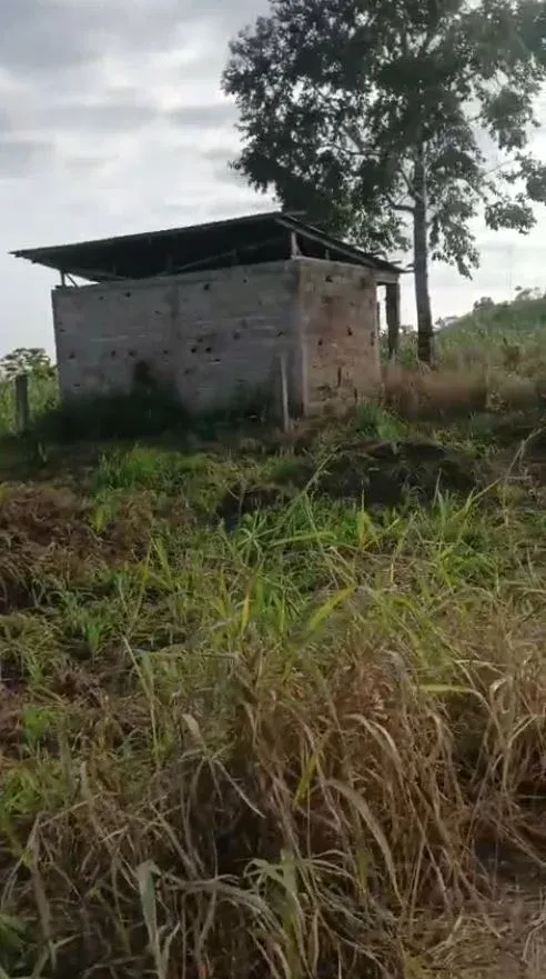 Main Photo - Real Estate | House For Sale | Prime Plot For Sale: Opposite Bir Checkpoint (Towards Bonjongo) 🚗, Bojongo Road, Limbé, Cameroon