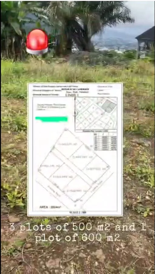 Main Photo - Real Estate | Land For Sale | Land For Sale – Mile 2, Limbe (Bonjava Layout), Mile II, Limbé, Cameroon