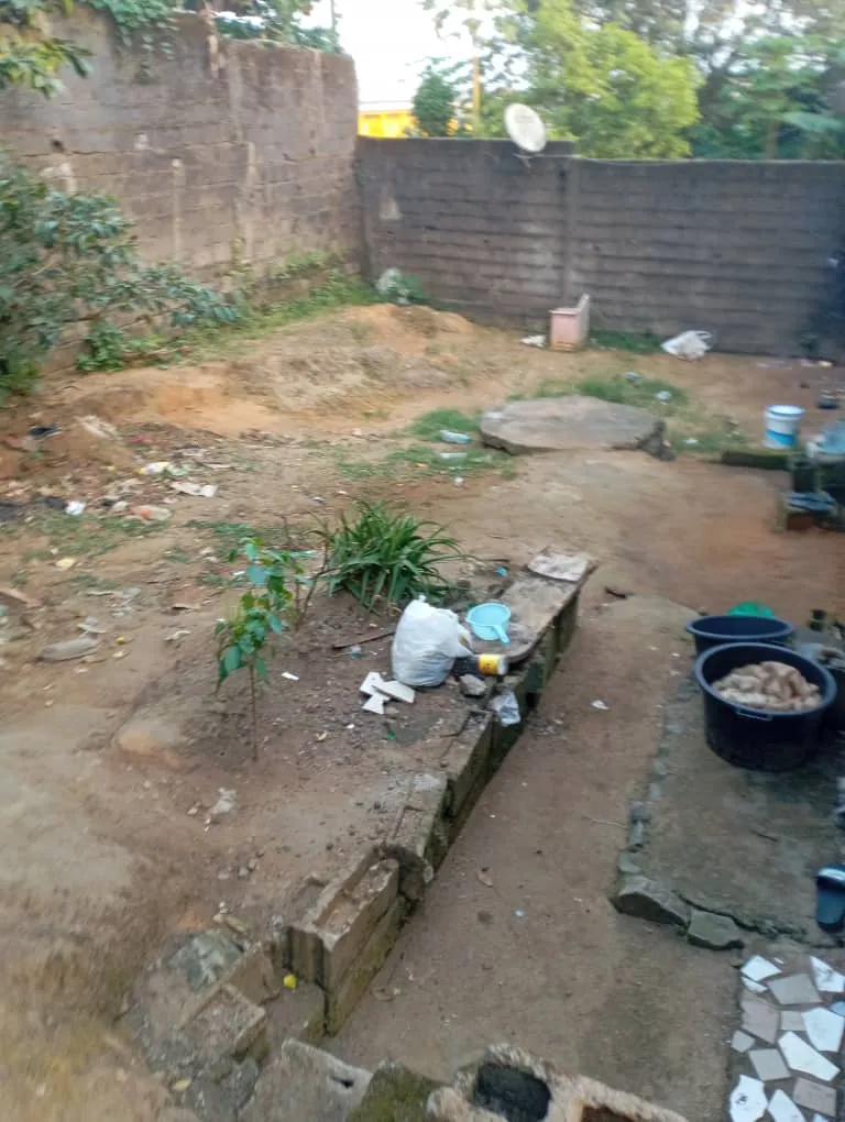 Main Photo - Real Estate | Land For Sale | Land For Sale In Dogbong Residential Area, Dogbong, Douala, Cameroon