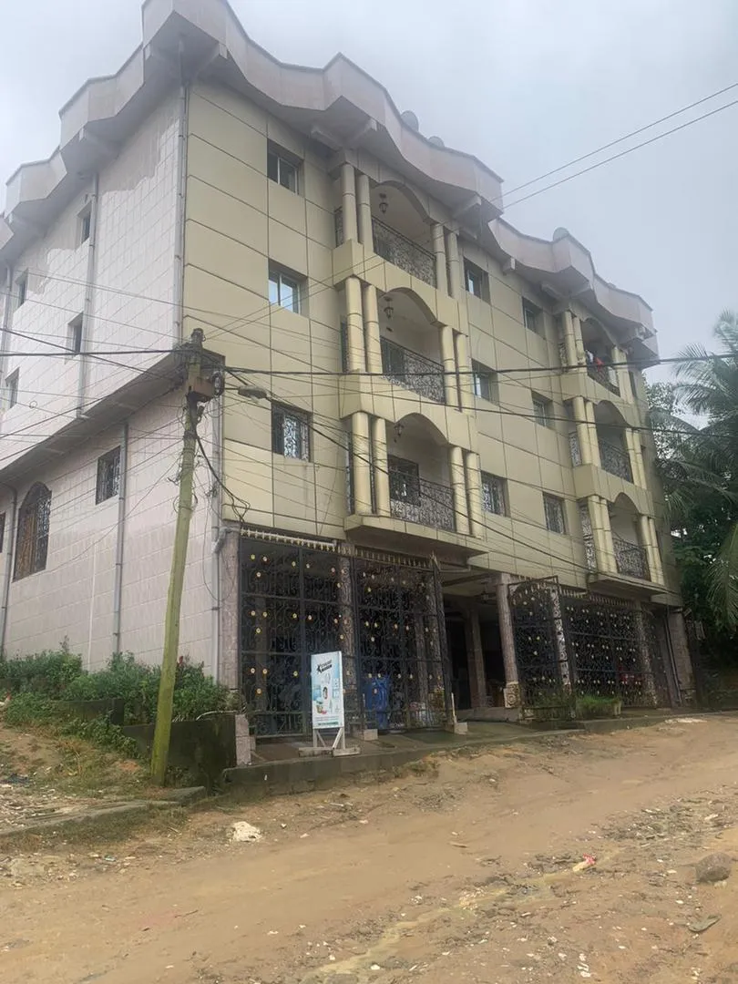Main Photo - Real Estate | House For Sale | A 4-Storey Building (R+3) Is Up For Sale In Kotto, Kotto, Douala, Cameroon